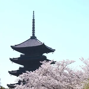 Sakura Tsubaki *** Kyōto